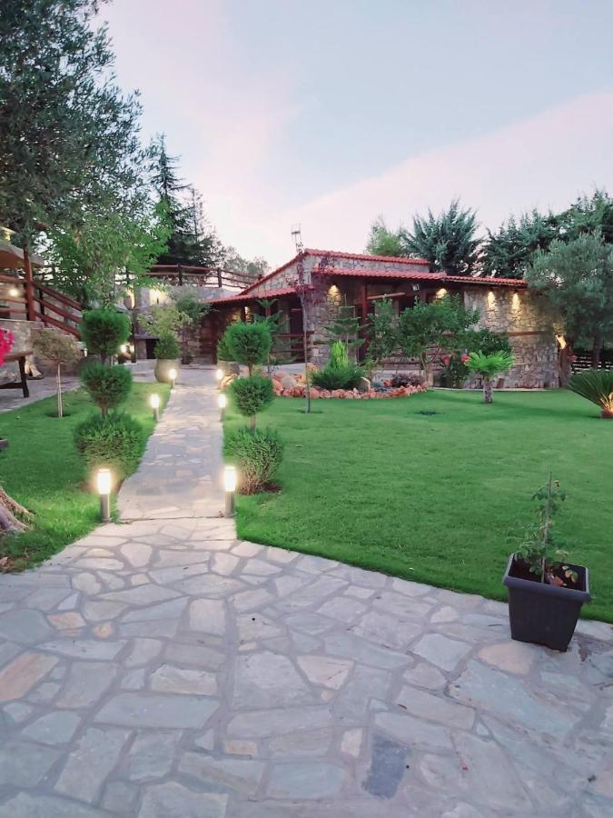 Dimitris Villas - Villa 4 ออร์โมส ปานากีอาส ภายนอก รูปภาพ